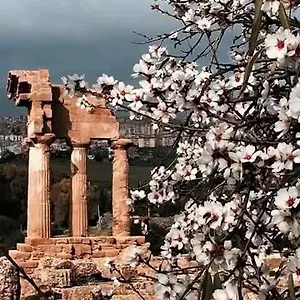 https://alfa-quadro.sicilyhotelsitaly.net