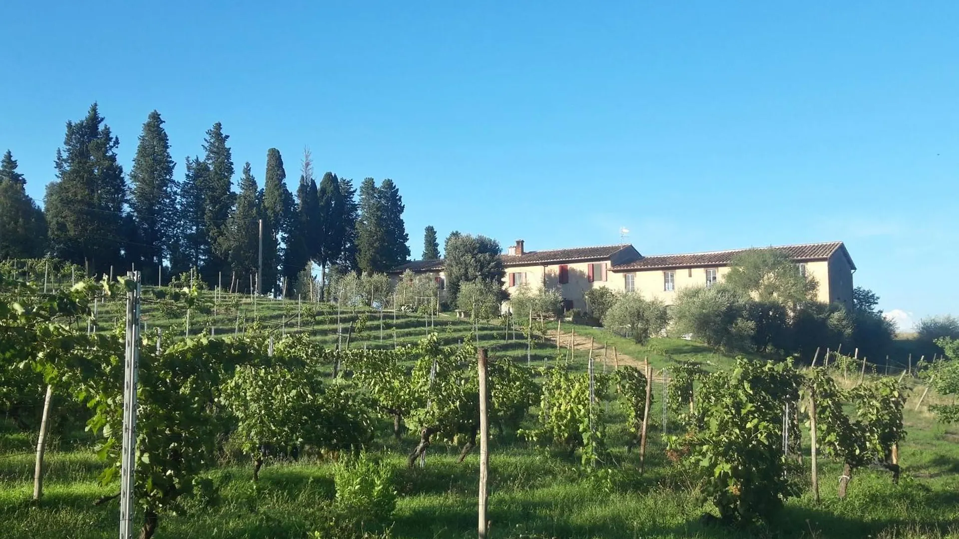B&B Agriturismo Fattoria Le Caprine 감바시